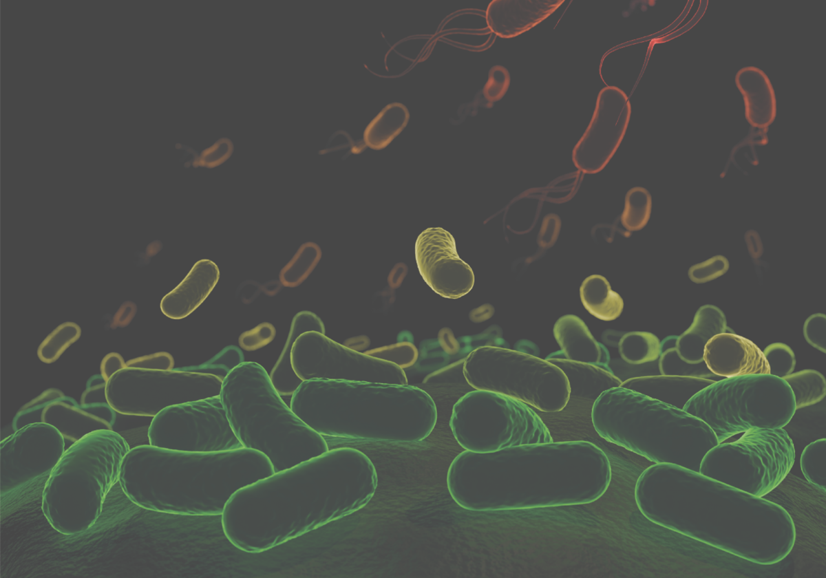 Bacterias que causan enfermedades en plantas colaboran para derrotar al sistema inmunológico vegetal