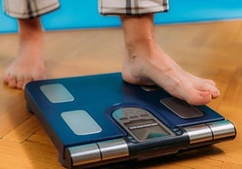 De izquierda a derecha, los endocrinos Gabriel Olveira y José Manuel García Almeida.