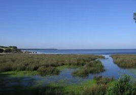 Imagen del Espacio Natural de Doñana.