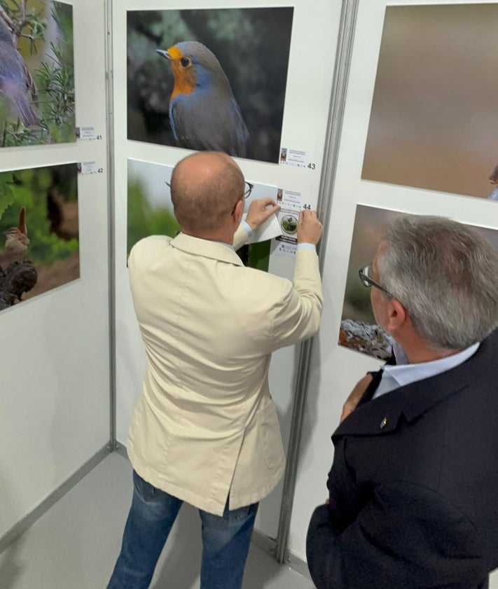 Imagen secundaria 2 - Más de 20 stands y varios talleres como el del bordado de aves.