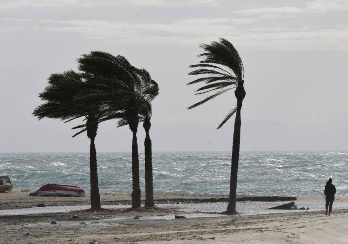Levante fuerte en Málaga: la provincia arranca la semana en aviso amarillo por viento y olas