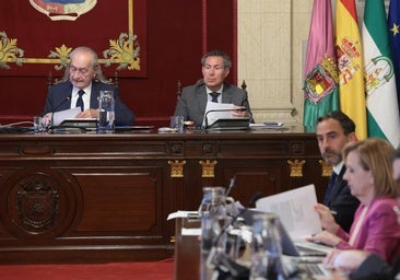 El pleno de Málaga exige al Gobierno que dé «información transparente» sobre el apagón