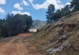 Nuevo cortafuegos de 12.500 metros cuadrados en Pinos de Alhaurín