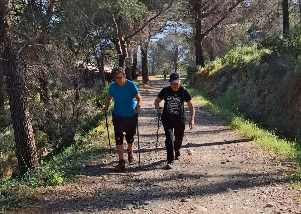 Imagen secundaria 1 - Caminantes por la Sierra de Mijas y sus estribaciones y cartel que avisa del peligro de caída de árboles.