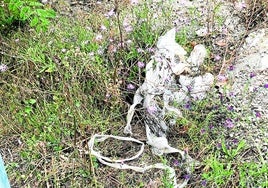 Basura acumulada en la zona denunciada de la calle Pinosol.