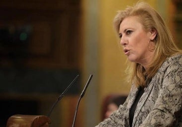 La Junta exige responsabilidades al Gobierno por los incidencias con los trenes