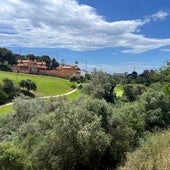 magen de los terrenos ubicados en la zona de Artola Alta que han salido a subasta por 2,3 millones.