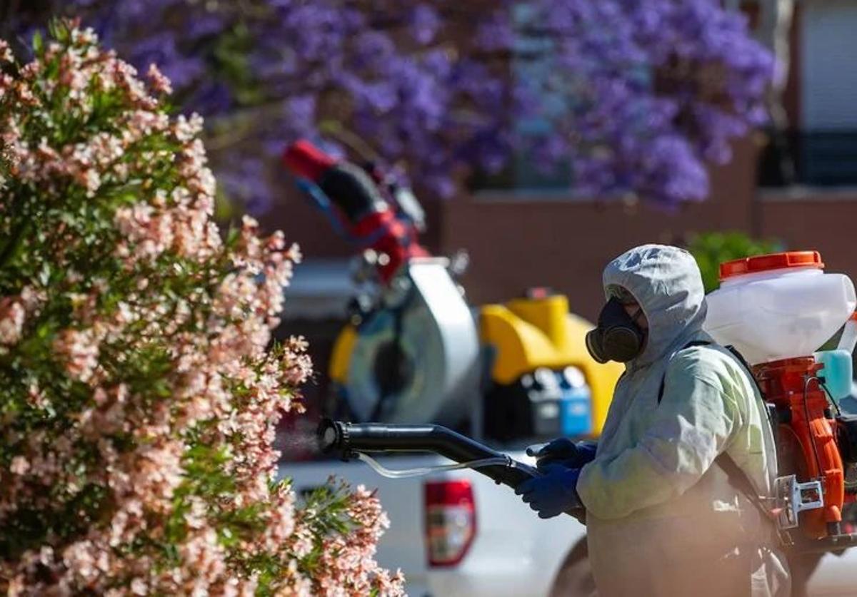 Andalucía adelanta un mes el control de mosquitos portadores del virus del Nilo occidental
