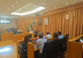 Imagen de la última sesión del Consejo Social de la Ciudad celebrada en el Ayuntamiento veleño.