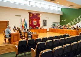 La bancada del PP vota a favor en el pleno de la Corporación de Torremolinos.