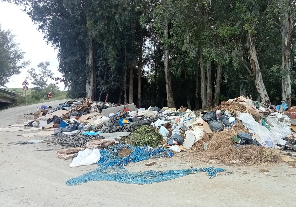 Basura acumulada en la zona denunciada.