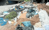 Basura acumulada en la zona denunciada.