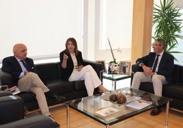 La alcaldesa de Ronda, Mari Paz Fernández; el presidente de la Diputación, Francisco Salado; y el primer teniente de alcalde, Jesús Vázquez durante la reunión.