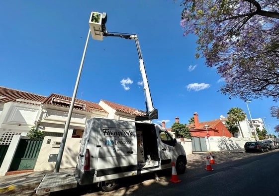 Trabajos de renovación del alumbrado.