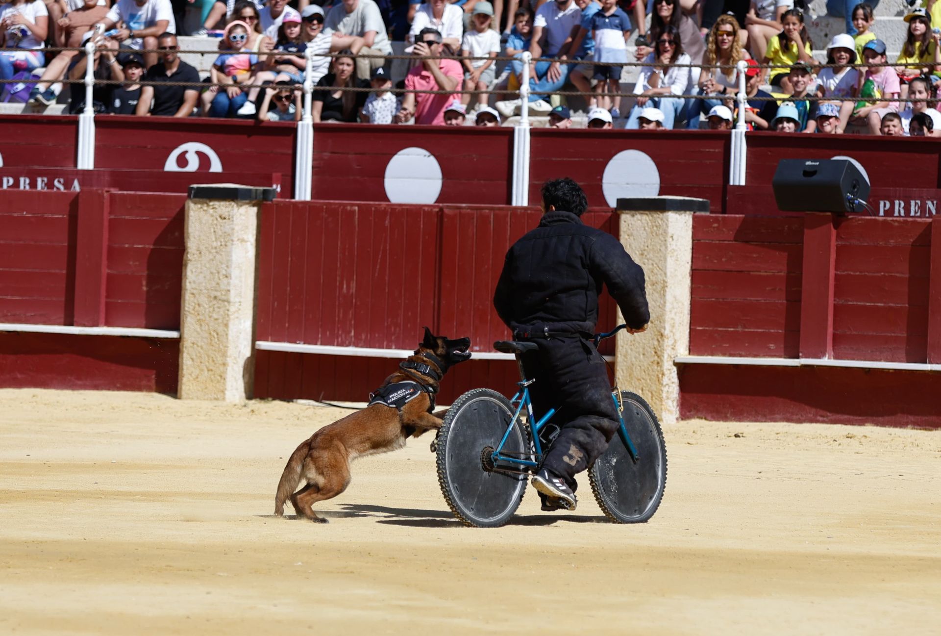 La Policía Nacional celebra una exhibición para dar a conocer su labor a escolares de Málaga