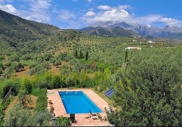 Piscina con vistas en alquiler en Tolox.