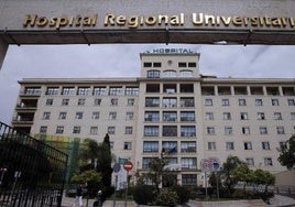 Dos evacuados al Hospital Regional tras atropellar un turismo a un jabalí en la autovía de Rincón de la Victoria