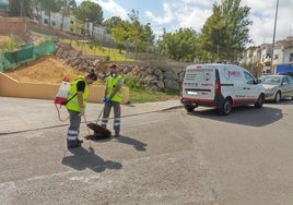 Trabajos para acabar con ratas e insectos en Alhaurín de la Torre.