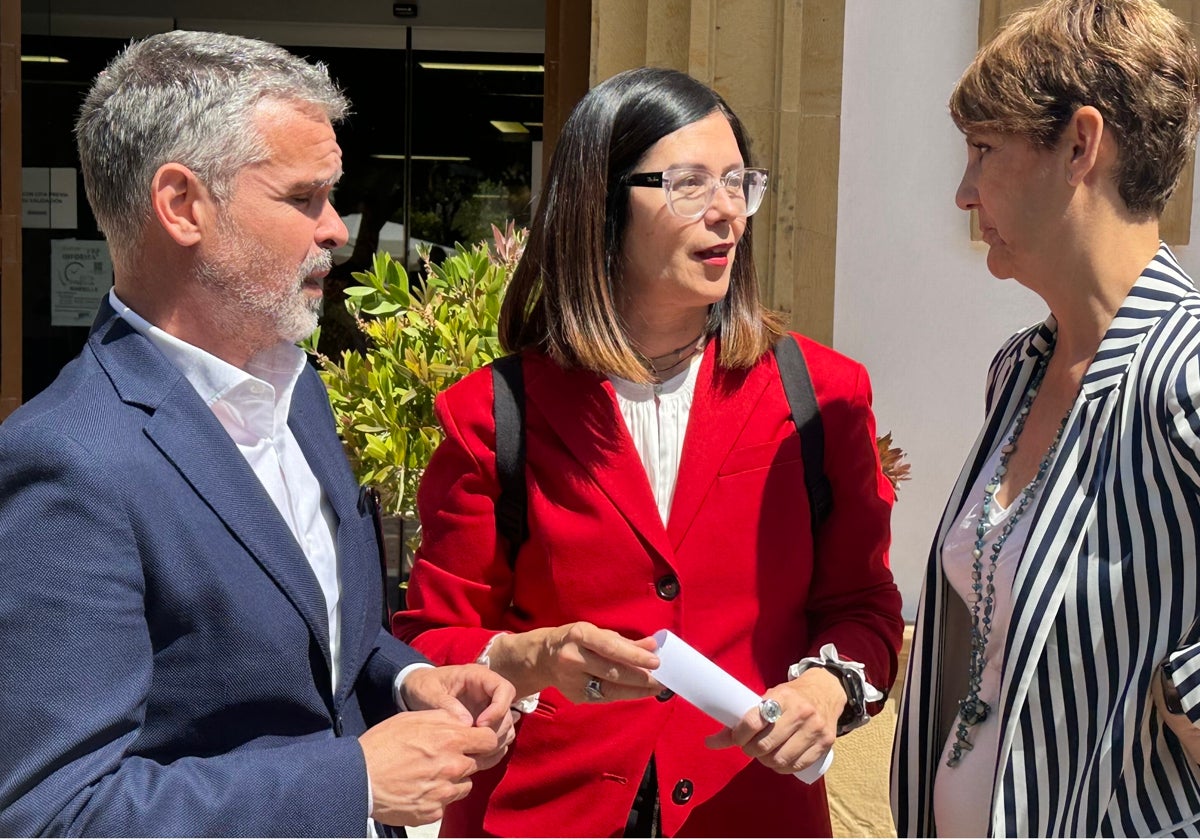 El PSOE exige la reapertura de la carretera entre San Pedro Alcántara y Ronda