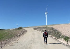 Los 'molinos de viento' son los hitos de la original ruta de senderismo del parque eólico Los Barrancos.