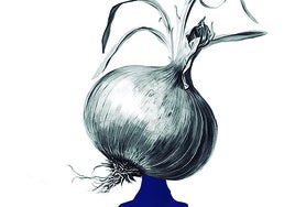 Euskadi, Zalla y las cebollas