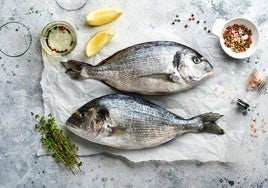 ¿Consumimos pescado?