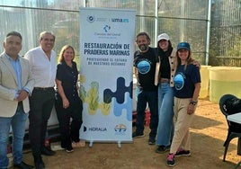 Visita al invernadero de 'cymodocea nodosa'.