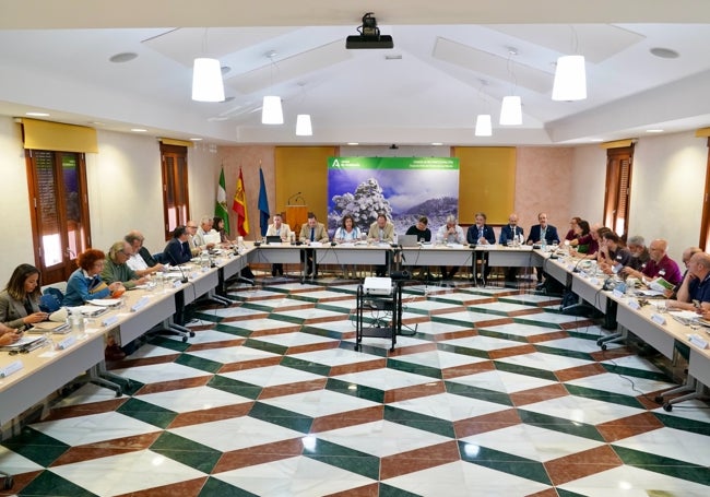 Consejo de Participación celebrado en Tolox.