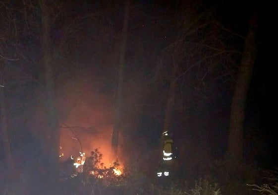 Imagen de los efectivos del Plan Infoca, sofocando las llamas, esta pasada madrugada en Alcaucín.