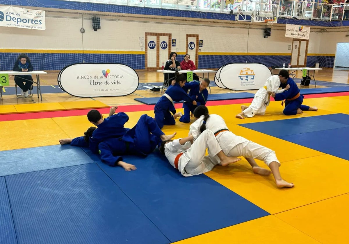 Combates de judo, en el Pabellón 'Rubén Ruzafa'.