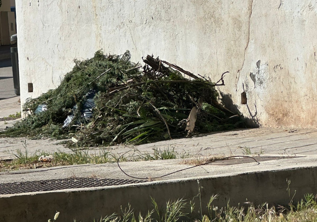 Vista de brozas privadas en la zona del Multicentro, epicentro de la zona.