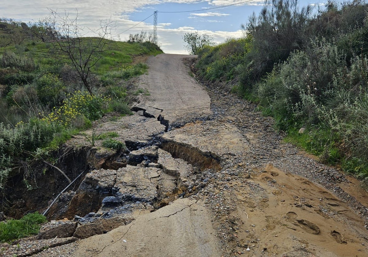 La Junta aprueba más de 600.000 euros para reparar caminos rurales en Villanueva de la Concepción