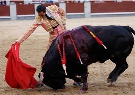 Derechazo de Fortes, este miércoles, en Madrid.