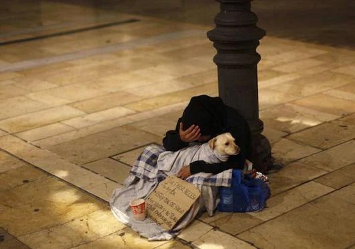Personas sin hogar: Málaga reconoce que debe sacar otro concurso «más garantista» para atenderlas