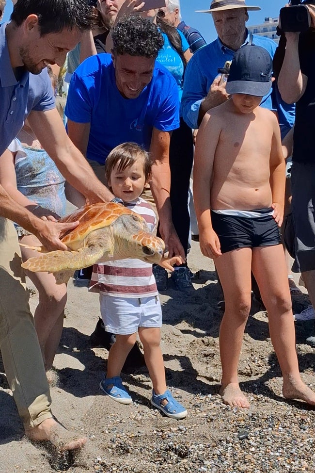 La tortuga Paloma es llevada al mar.