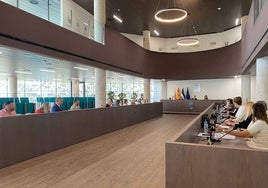 Pleno del Ayuntamiento de Estepona del mes de mayo.