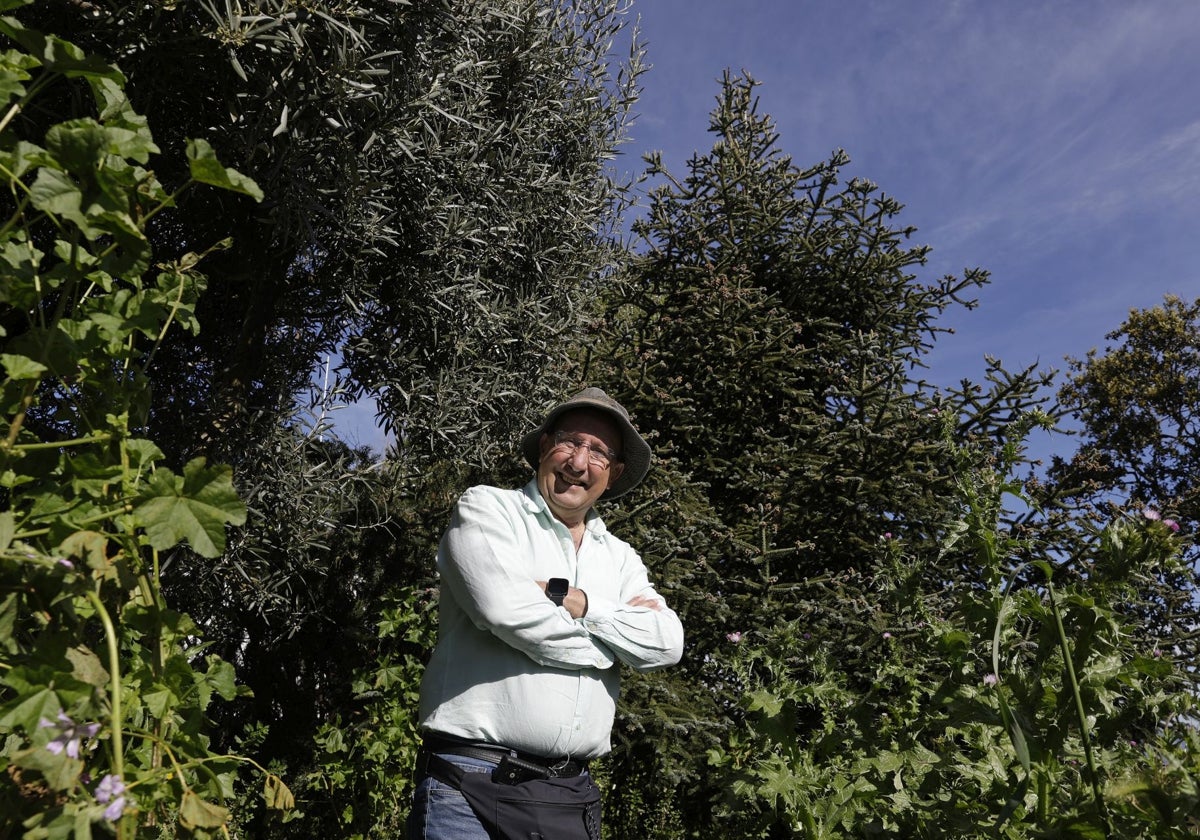 Pepe Quintanilla, debajo de un pinsapo en la cima de Los Montes de Málaga.