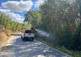Un equipo de fumigación combate los mosquitos portadores del Virus del Nilo en una de las zonas de riesgo en Andalucía