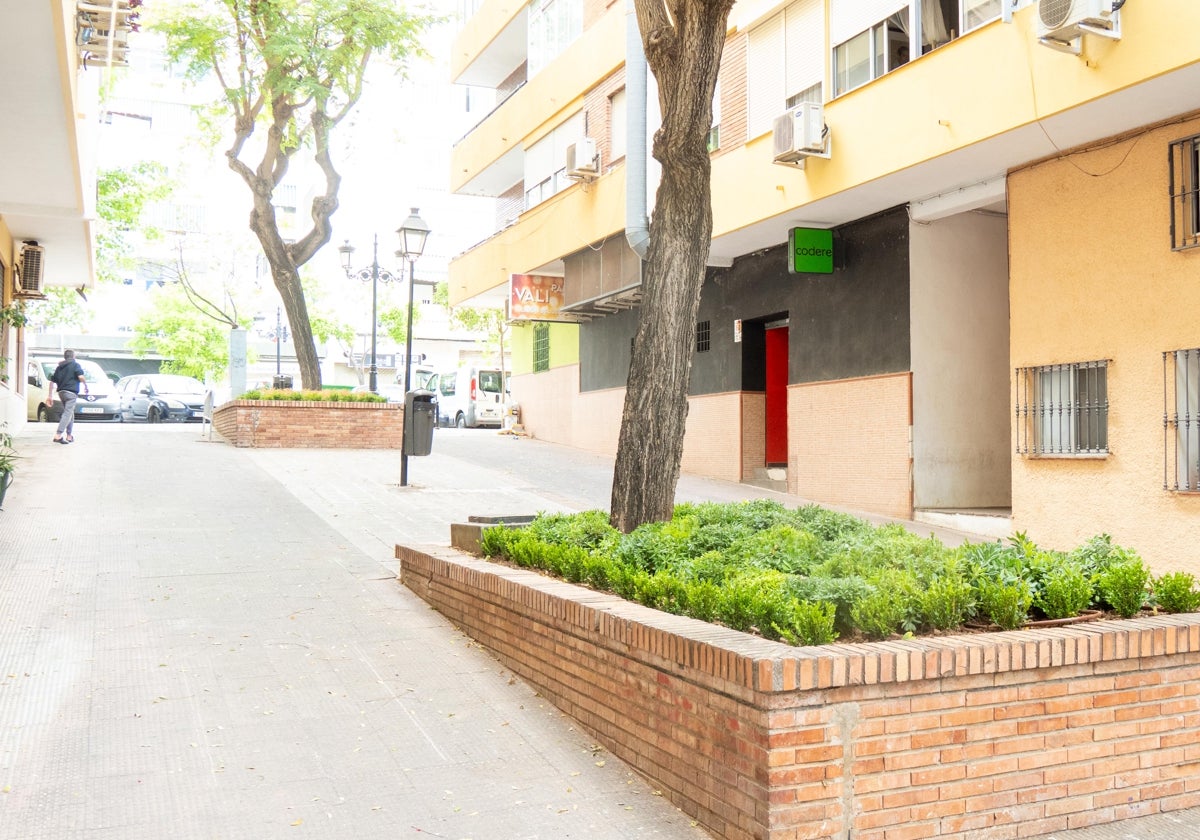 Marbella mejora las zonas ajardinadas de los pasajes Salvador Allende y Simón Bolívar
