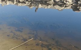 Vista del agua estancada en la zona de los contenedores.