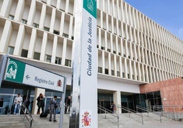 Un juzgado de Málaga perdona la deuda de más de dos millones a un matrimonio tras la ruina de su negocio