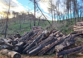 Mijas prepara un contrato para tratar de blindar su sierra frente a los incendios