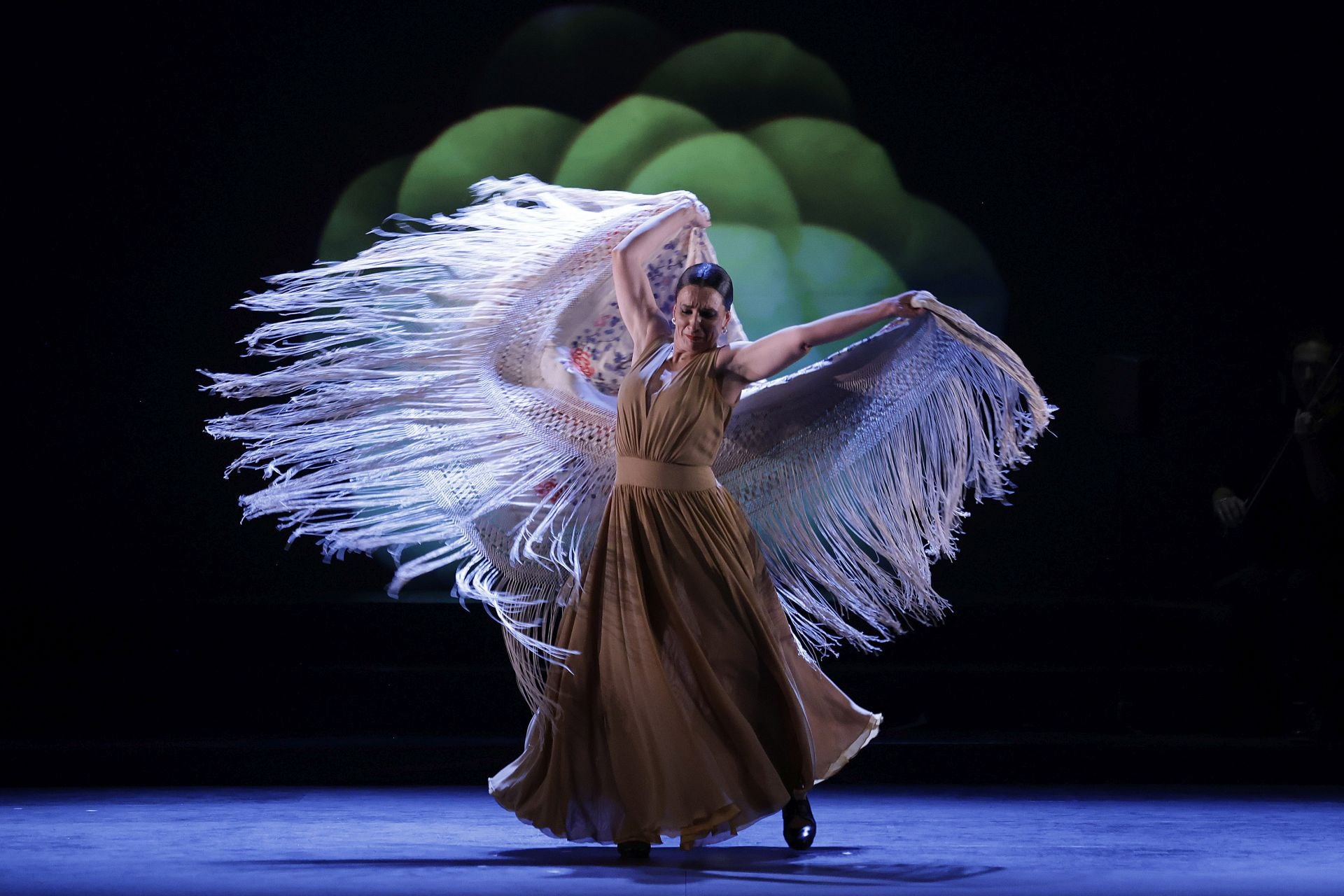Arranca la Bienal de Flamenco con un homenaje a Gonzalo Rojo