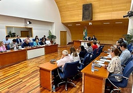 Pleno en el Ayuntamiento de Fuengirola.