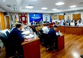 Pleno en el Ayuntamiento de Benalmádena.