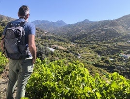 Esta ruta permite tener una inmejorable panorámica del valle del río Torrox