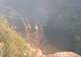 Controlado el incendio forestal declarado en la zona de Río Grande en Guaro