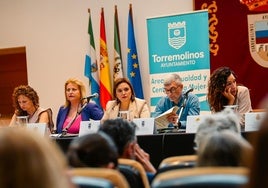 Mesa de Trabajo y Coordinación Municipal Interinstitucional y Social contra la Violencia de Género.