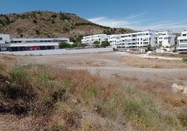 Terrenos reservados para el instituto.