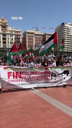 Medio millar de personas se manifiesta en Málaga contra el «genocidio en Palestina»